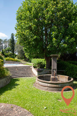 Viager - Maison ancienne - 265 m² - 8 pièces