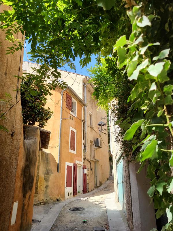 Les Lambesc'apades : les végétaux ornementaux de Lambesc !