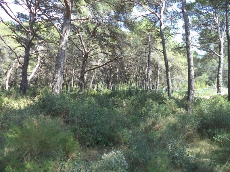 Terrain de loisirs - 4 644 m²