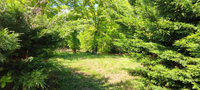 Terrain constructible - 2 177 m²