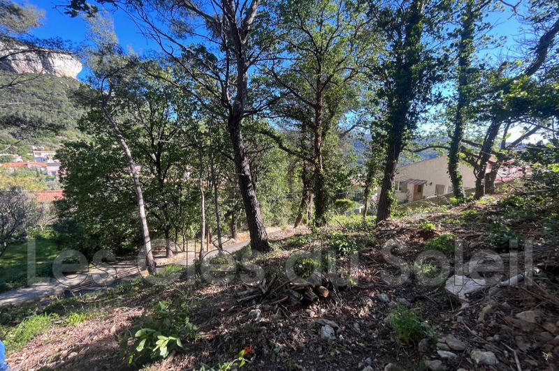 Terrain - 21 500 m²