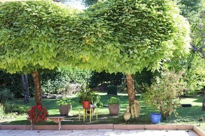 Maison - 133 m² - 5 pièces