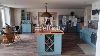 Maison - 470 m² - 10 pièces