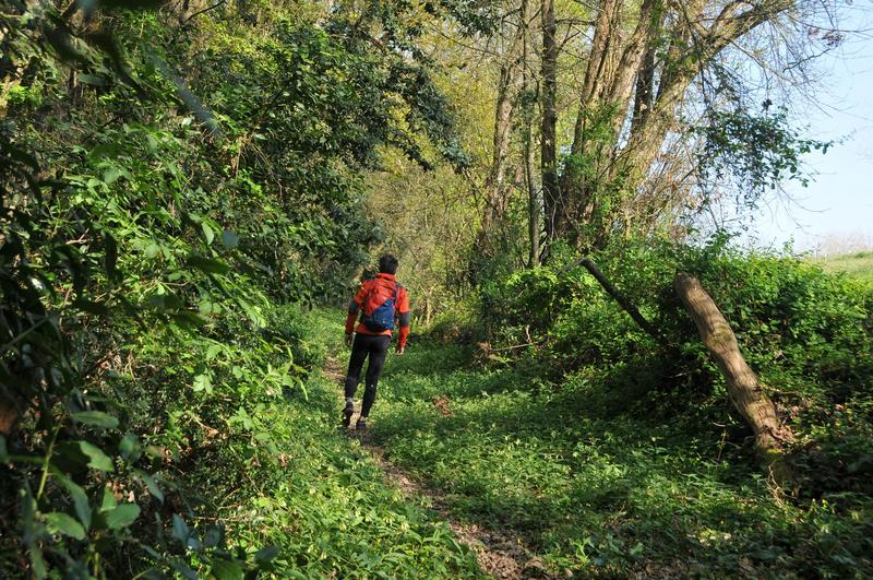 Sortie nature Cpie Pays Basque : "Sur la trace des baveux"