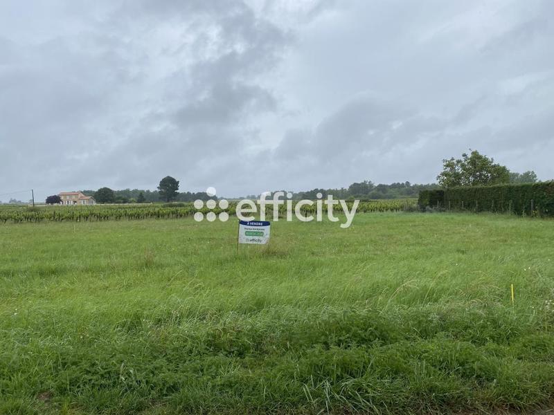 Terrain - 575 m²