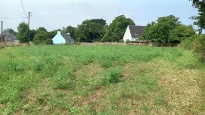 Terrain constructible - 1 050 m²