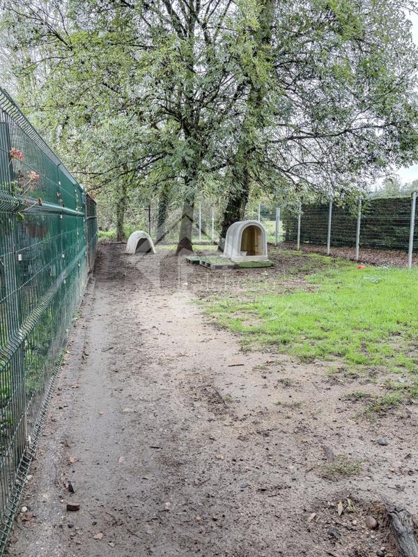 Maison - 210 m² - 5 pièces