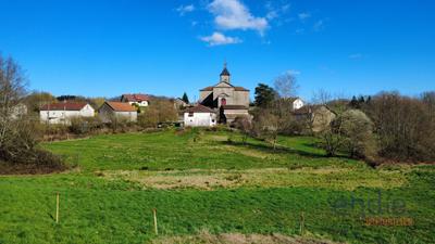 Terrain constructible - 10 000 m²