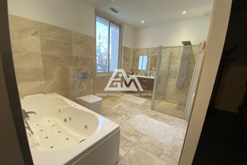 Hôtel particulier - 269 m² - 6 pièces