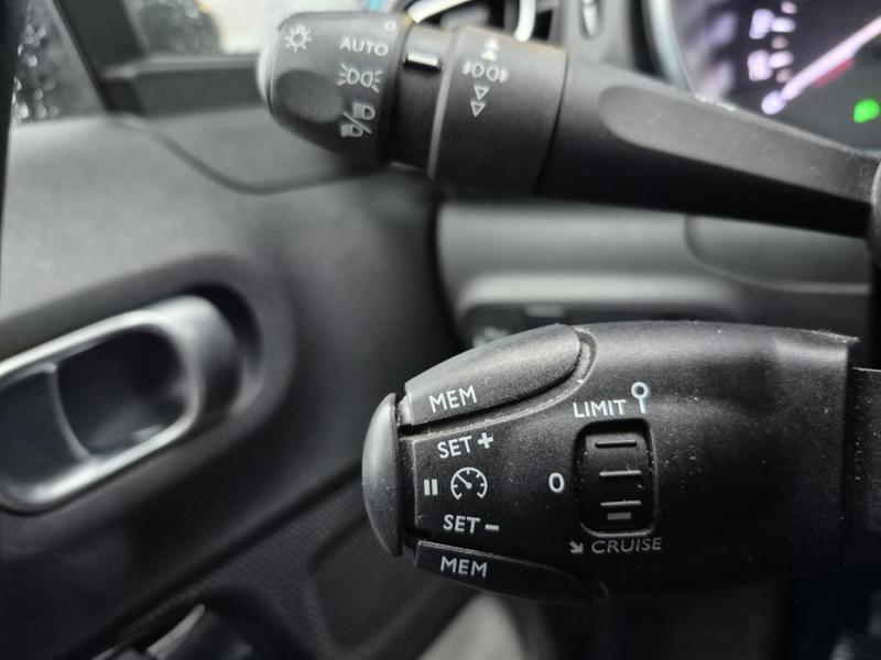 Citroën C3 III BlueHDi 100 s&amp;S Bvm Shine