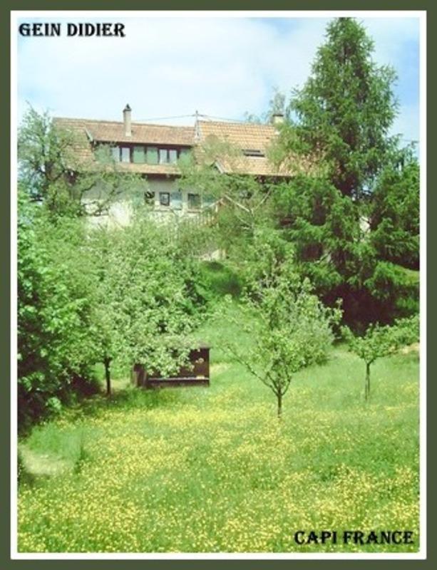 Maison - 146 m² - 5 pièces