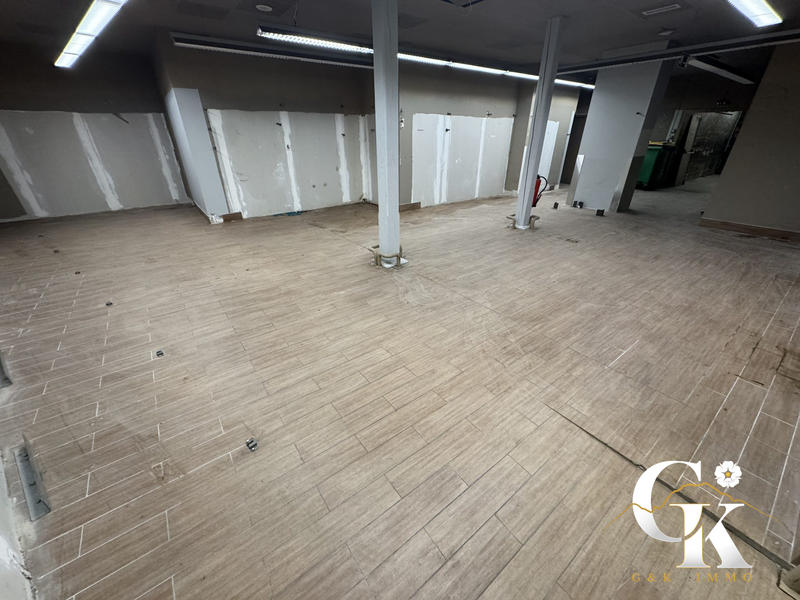 Local commercial - 1 172 m² - 11 pièces