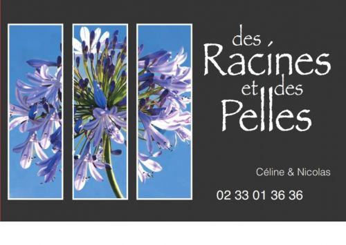 des Racines et des Pelles