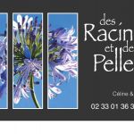 des Racines et des Pelles