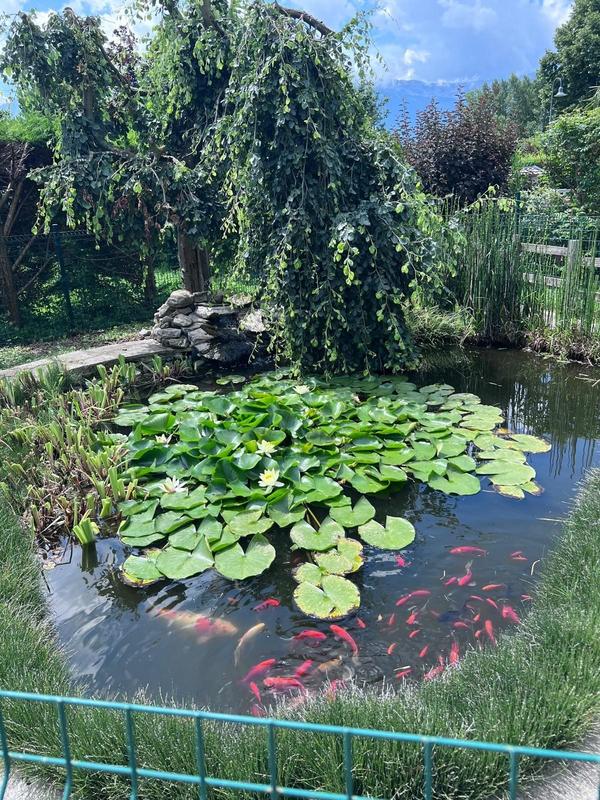 Maison - 118 m² - 5 pièces