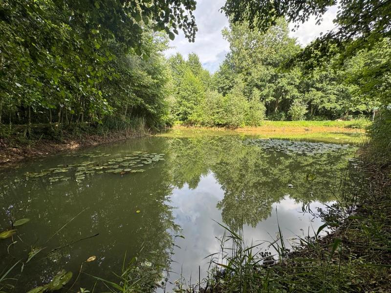 Terrain de loisirs - 4 340 m²