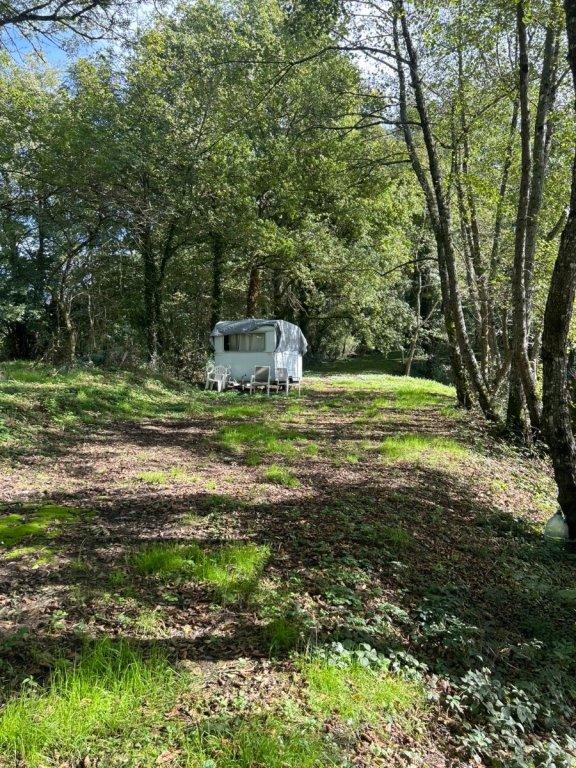 Propriété - 8 200 m² - 1 pièce