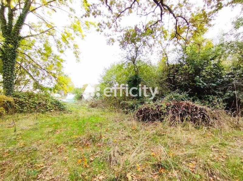 Terrain constructible - 1 419 m²