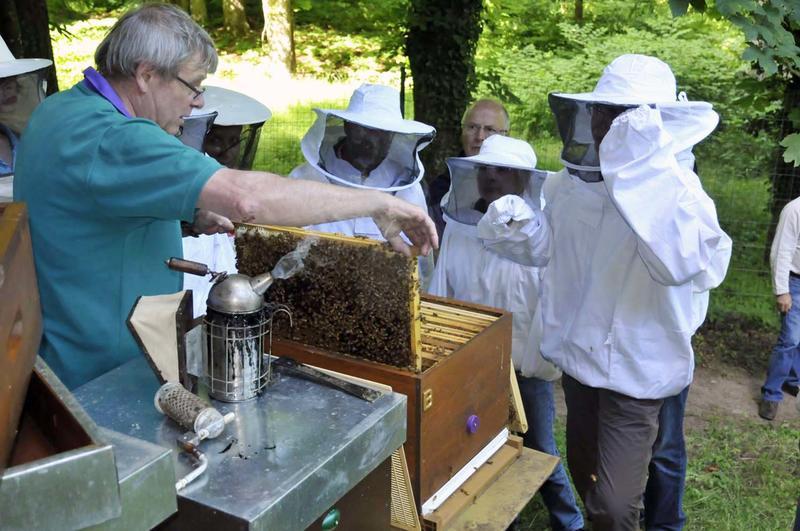 Portes ouvertes au rucher école des sources