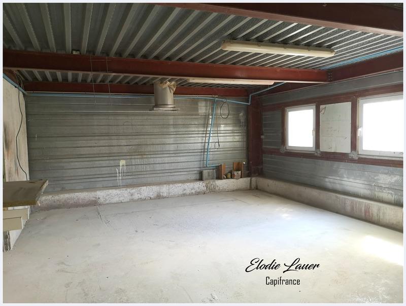 Bureau - 569 m² - 8 pièces