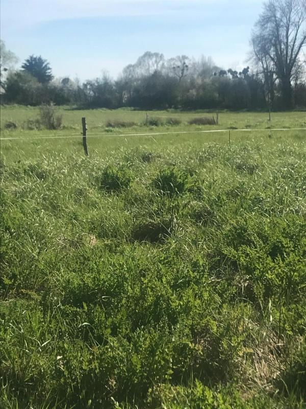 Terrain agricole - 12 500 m²