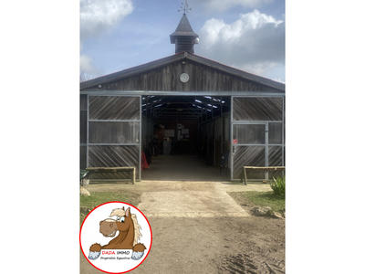 Maison - 230 m² - 6 pièces