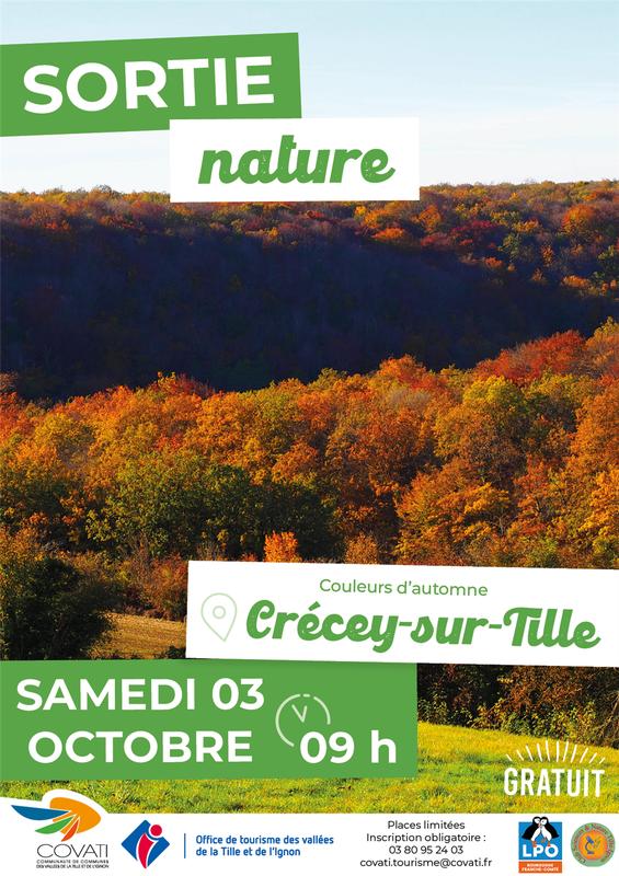 Sortie Nature : Couleurs d'automne