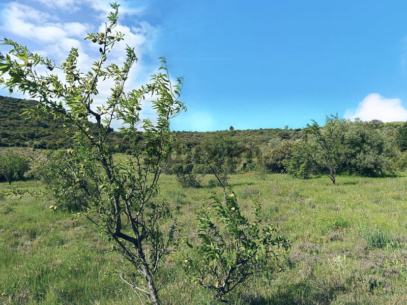 Terrain de loisirs - 3 970 m²