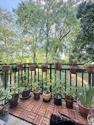 Appartement - 55 m² - 3 pièces