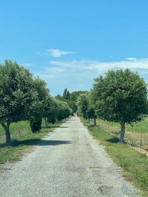 Château - 2 000 m² - 20 pièces