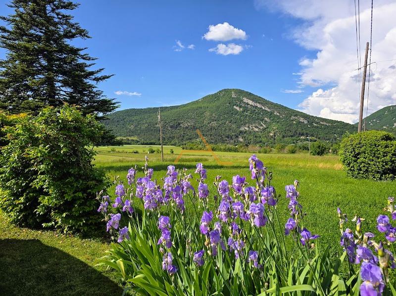 Maison en pierre - 500 m² - 5 pièces