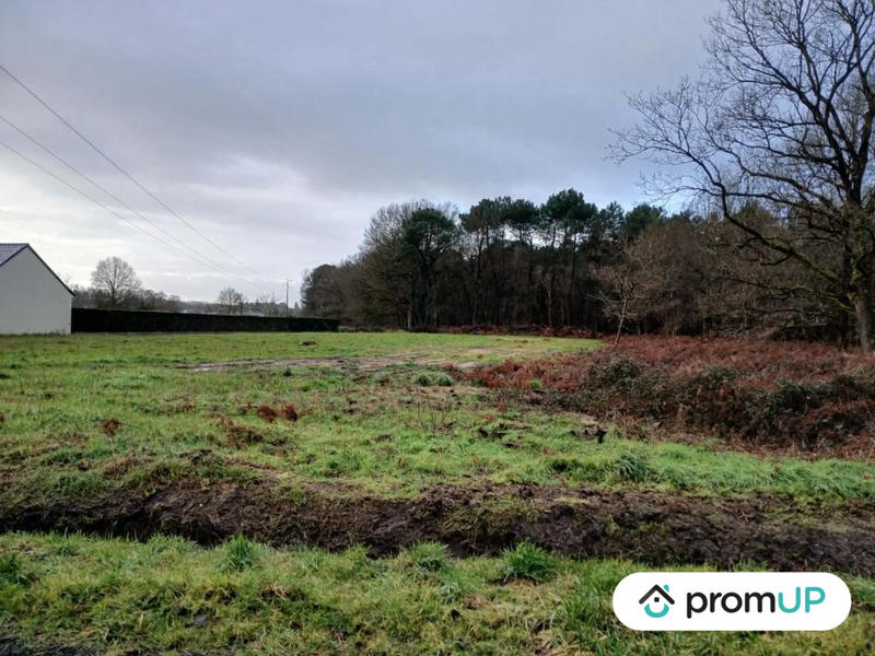 Terrain de loisirs - 4 000 m²