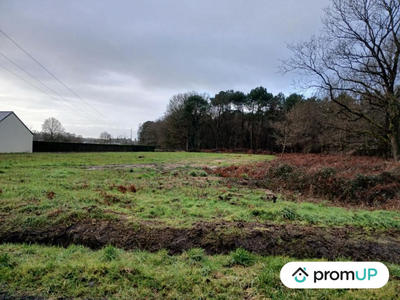 Terrain de loisirs - 4 000 m²