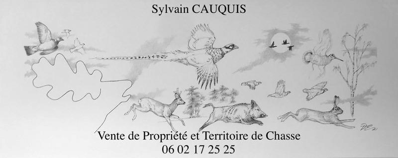 Propriété - 800 m² - 25 pièces