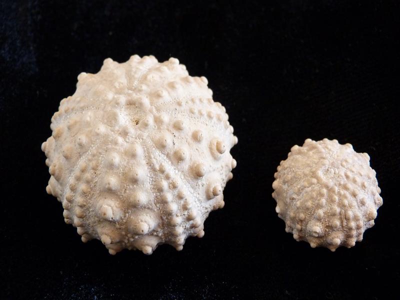 La falaise des Confessionnaux