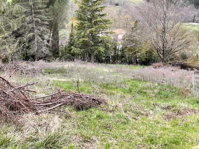 Propriété - 300 m² - 11 pièces