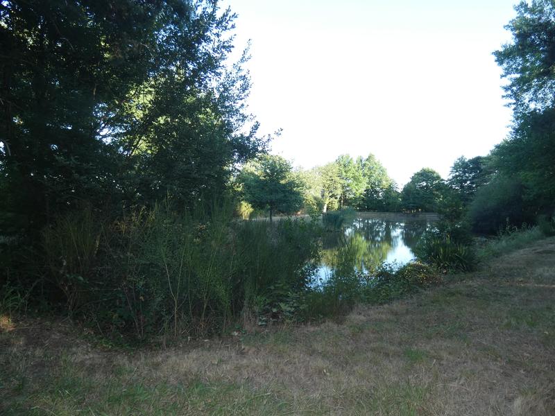 Terrain de loisirs - 11 460 m²