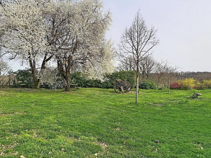 Maison - 215 m² - 6 pièces