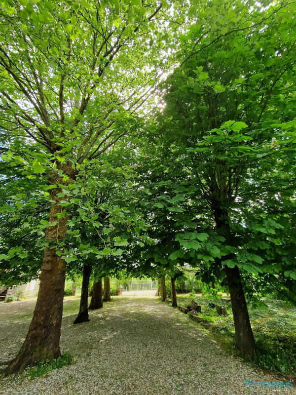 Maison - 300 m² - 13 pièces