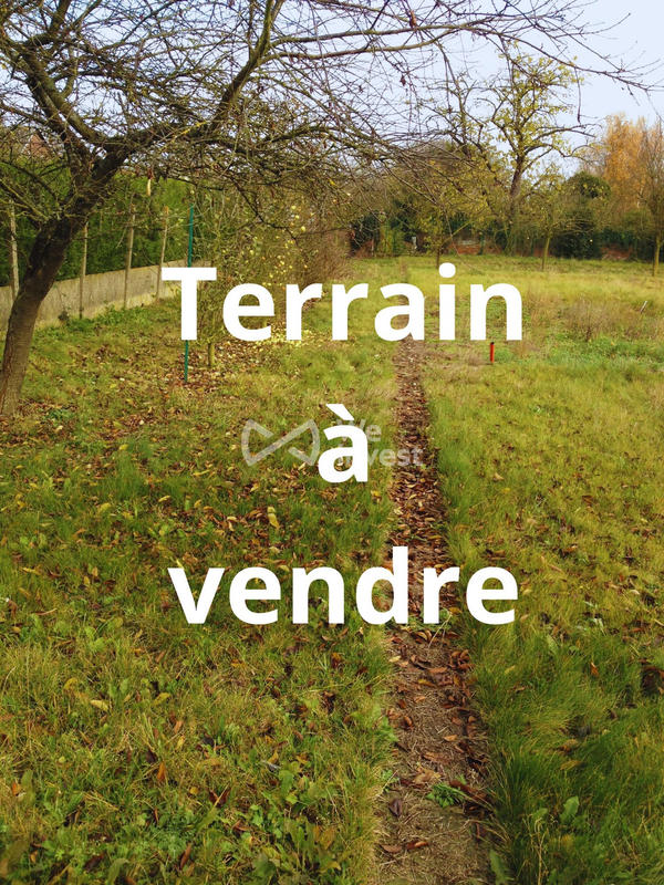 Terrain - 735 m²