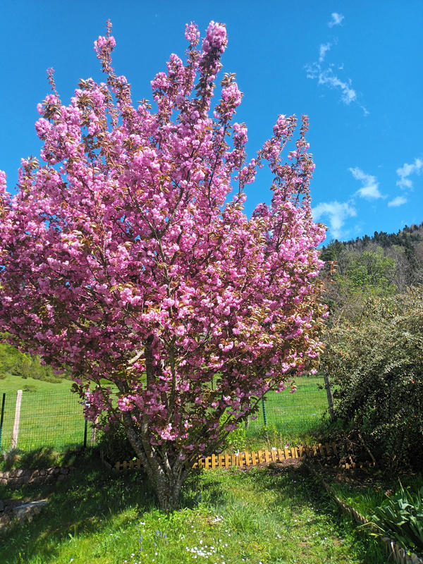 Maison - 134 m² - 4 pièces