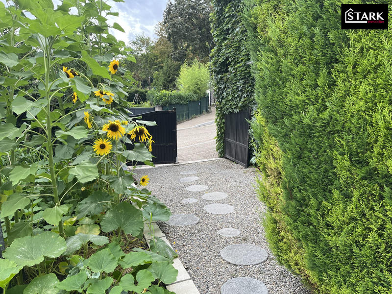 Viager - Maison ancienne - 96 m² - 4 pièces