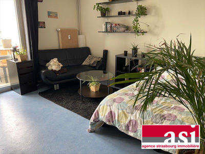 Appartement - 31 m² - 1 pièce