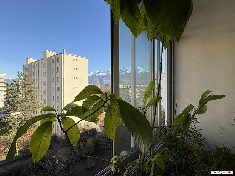 Appartement - 66 m² - 4 pièces