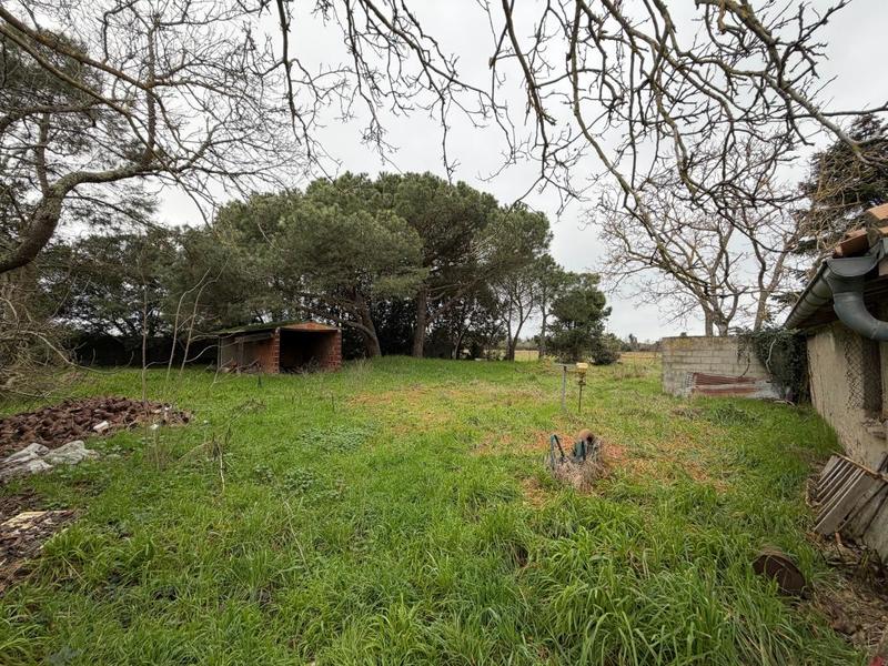 Maison - 61 m² - 2 pièces