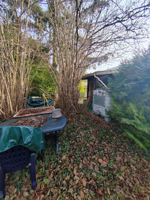 Terrain de loisirs - 462 m²