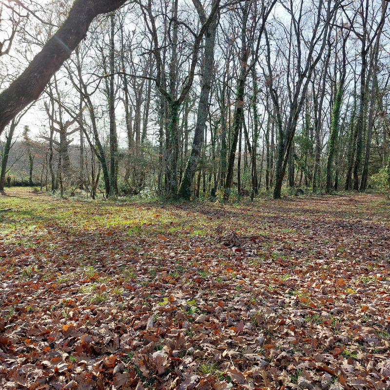 Maison - 216 m² - 7 pièces