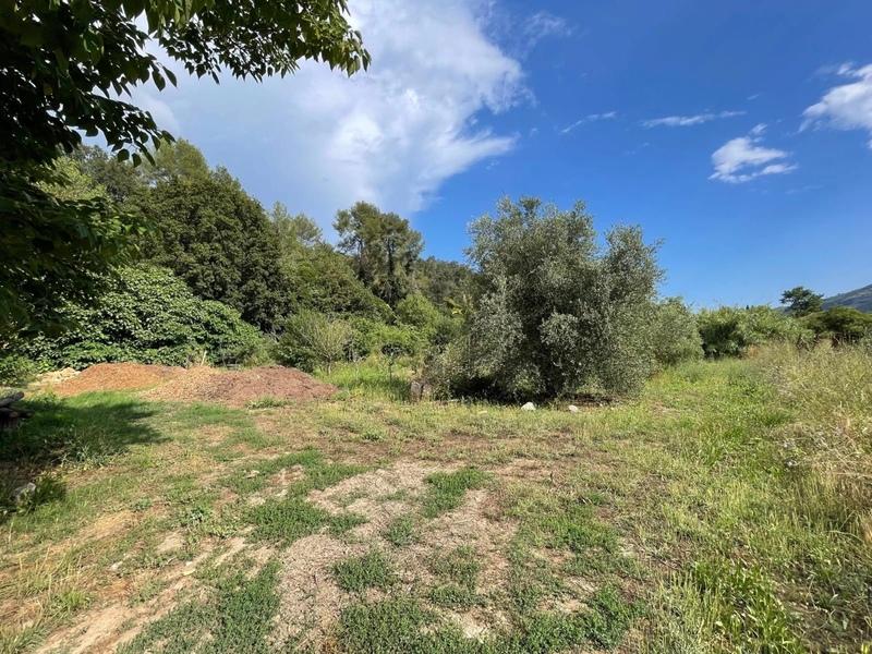 Local commercial - 135 m² - 6 pièces