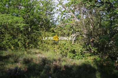 Terrain - 30 900 m²