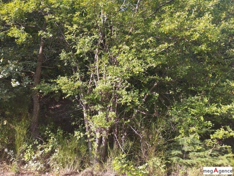 Terrain de loisirs - 4 671 m²